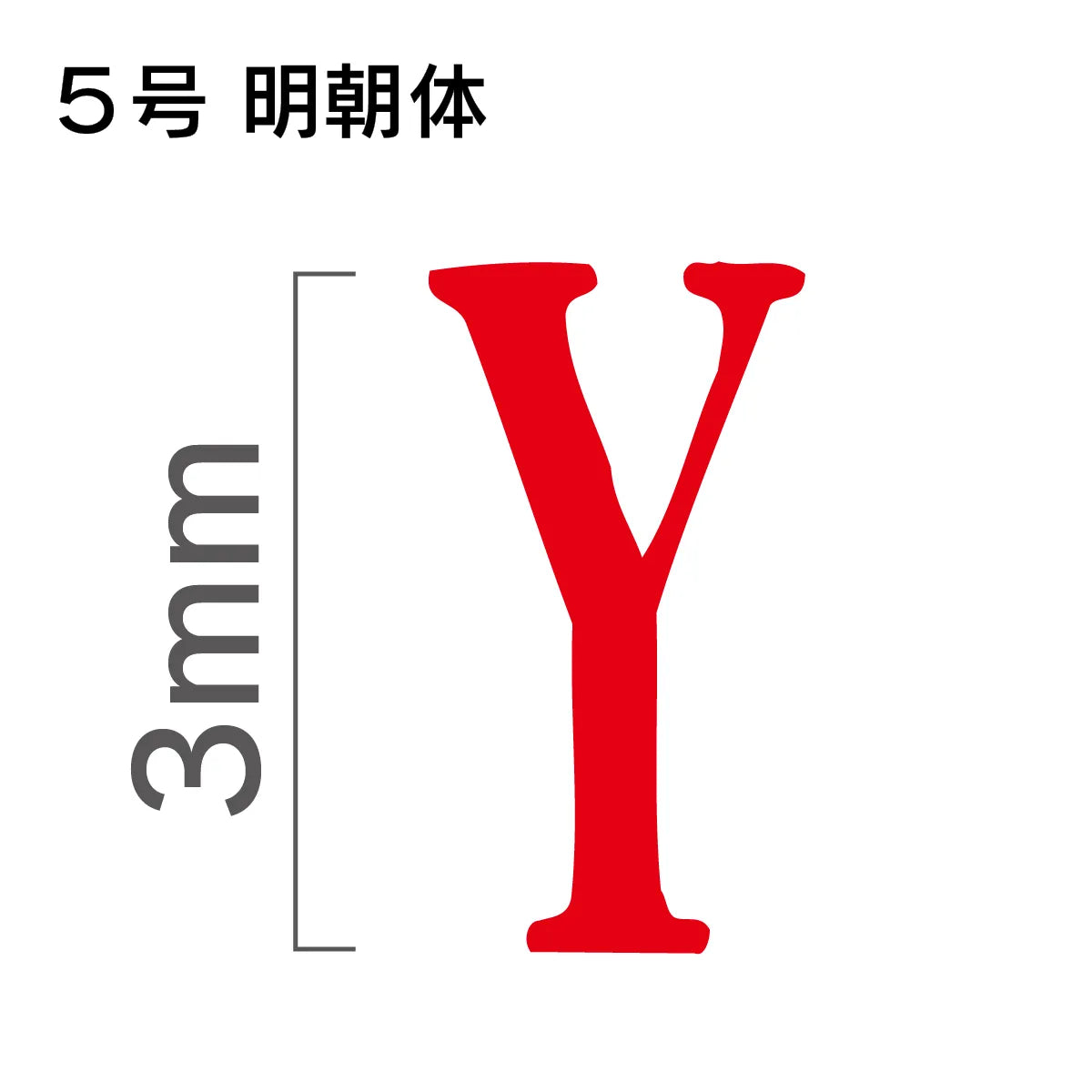 エンドレススタンプ 単品英字 明朝体 ５号[Y]