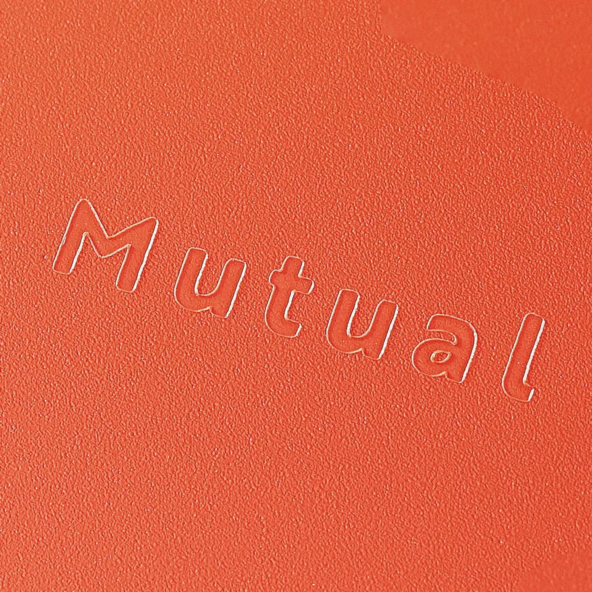 Ｍｕｔｕａｌ コングレスケース　Ａ４＜薄型＞(マットイエロー) A2071-5 画像06