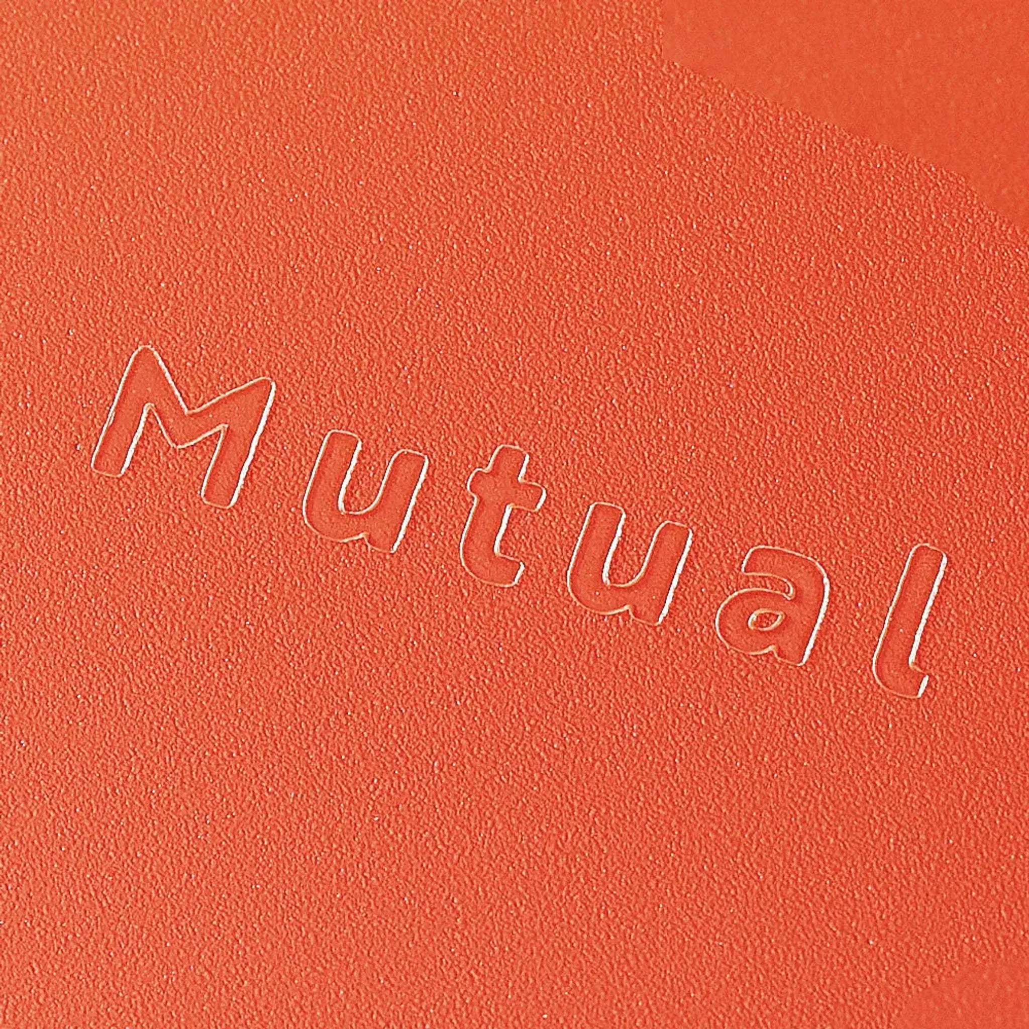 Ｍｕｔｕａｌ コングレスケース　Ａ４＜薄型＞(マットイエロー) A2071-5 画像06