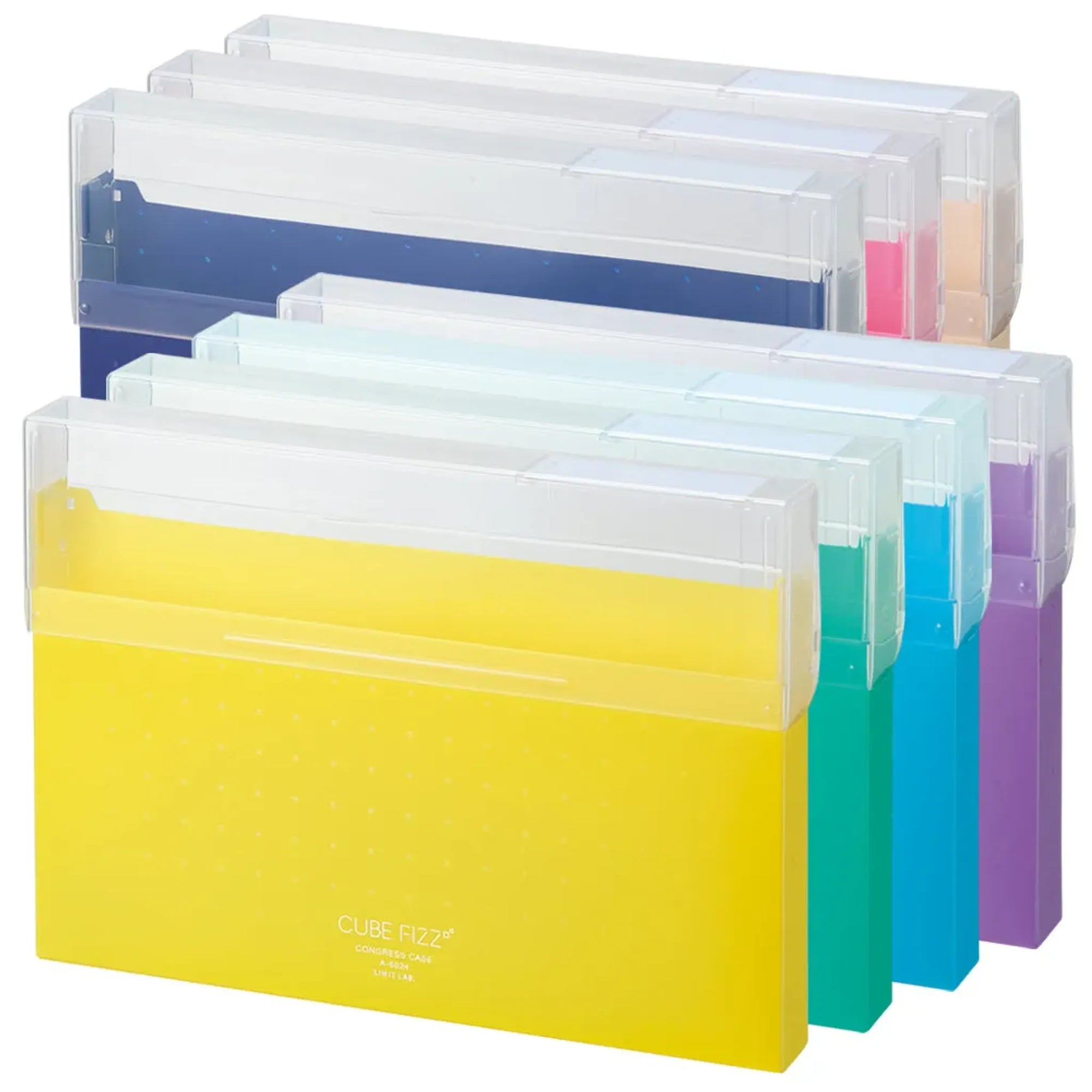 CUBE FIZZ コングレスケース(ブルー) A6024-8 画像02