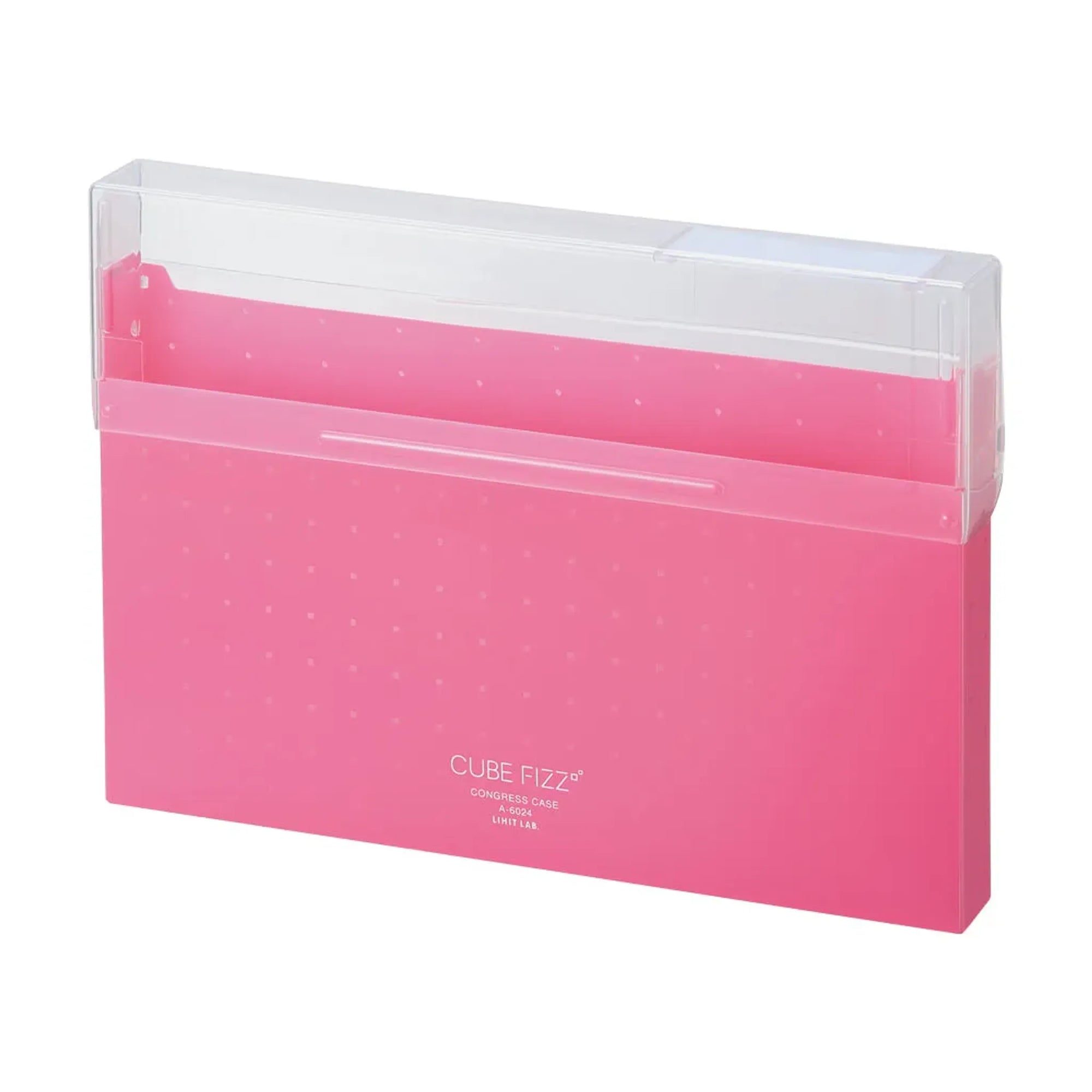 CUBE FIZZ コングレスケース(ピンク) A6024-12 画像01