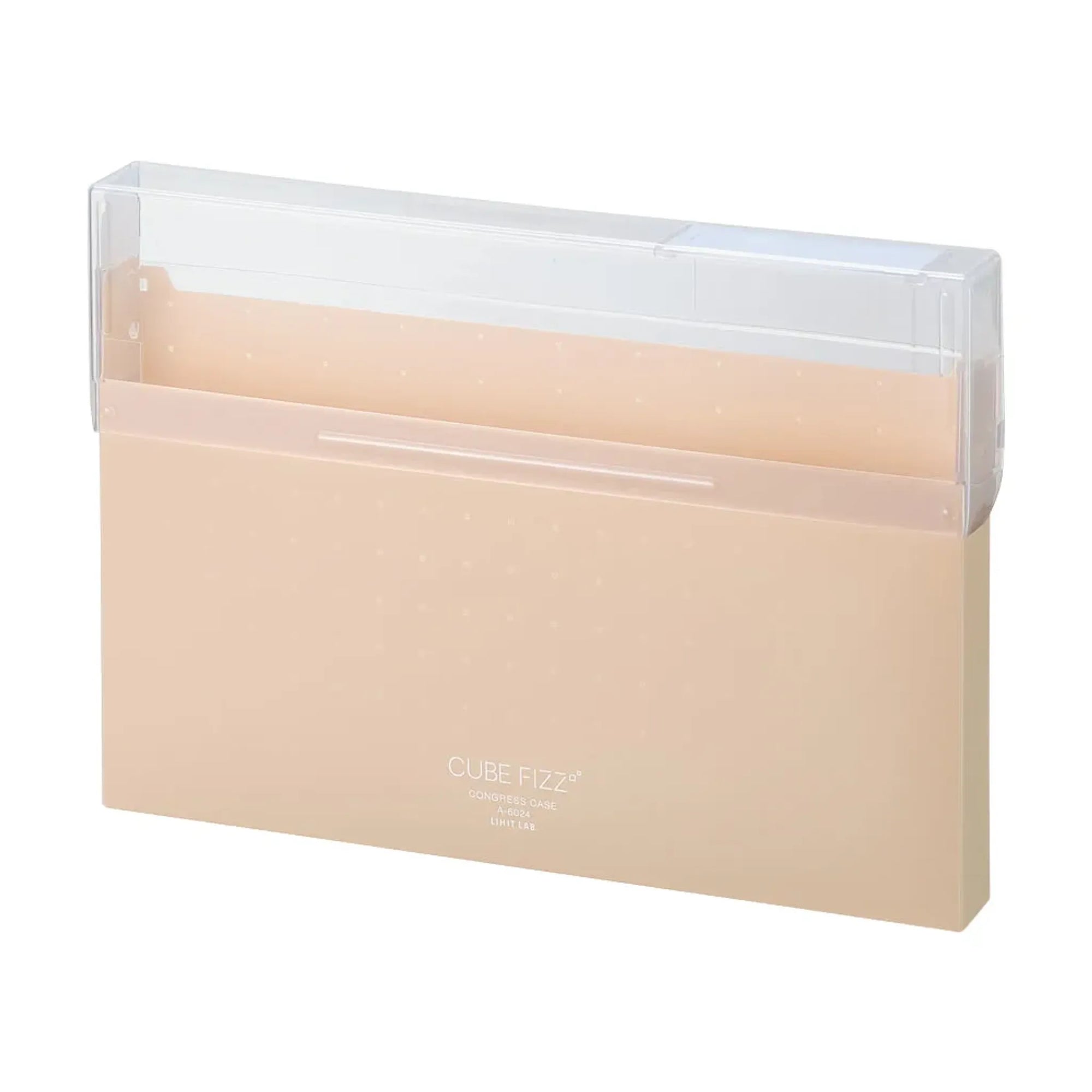 CUBE FIZZ コングレスケース(ベージュ) A6024-16 画像01