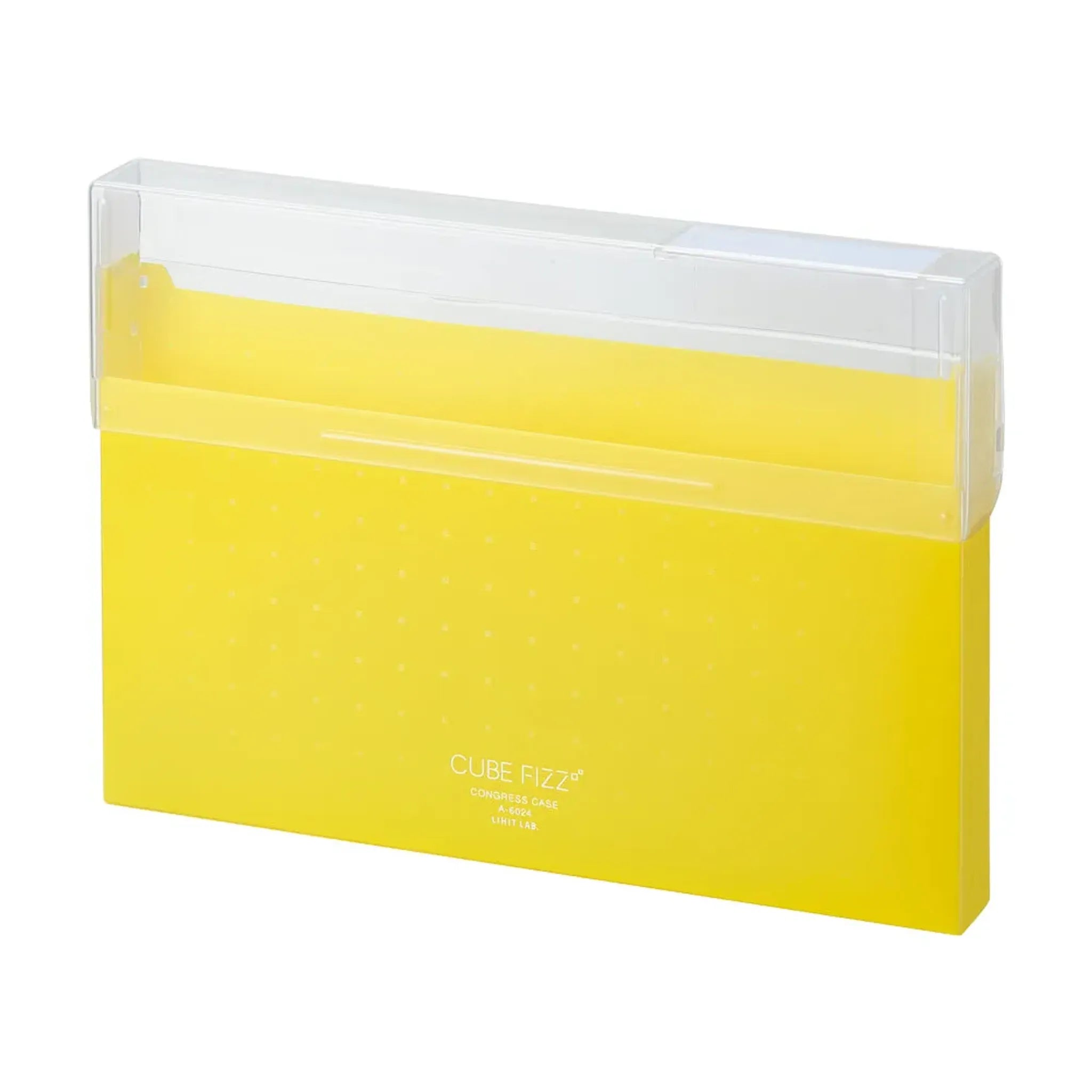 CUBE FIZZ コングレスケース(イエロー) A6024-5 画像01