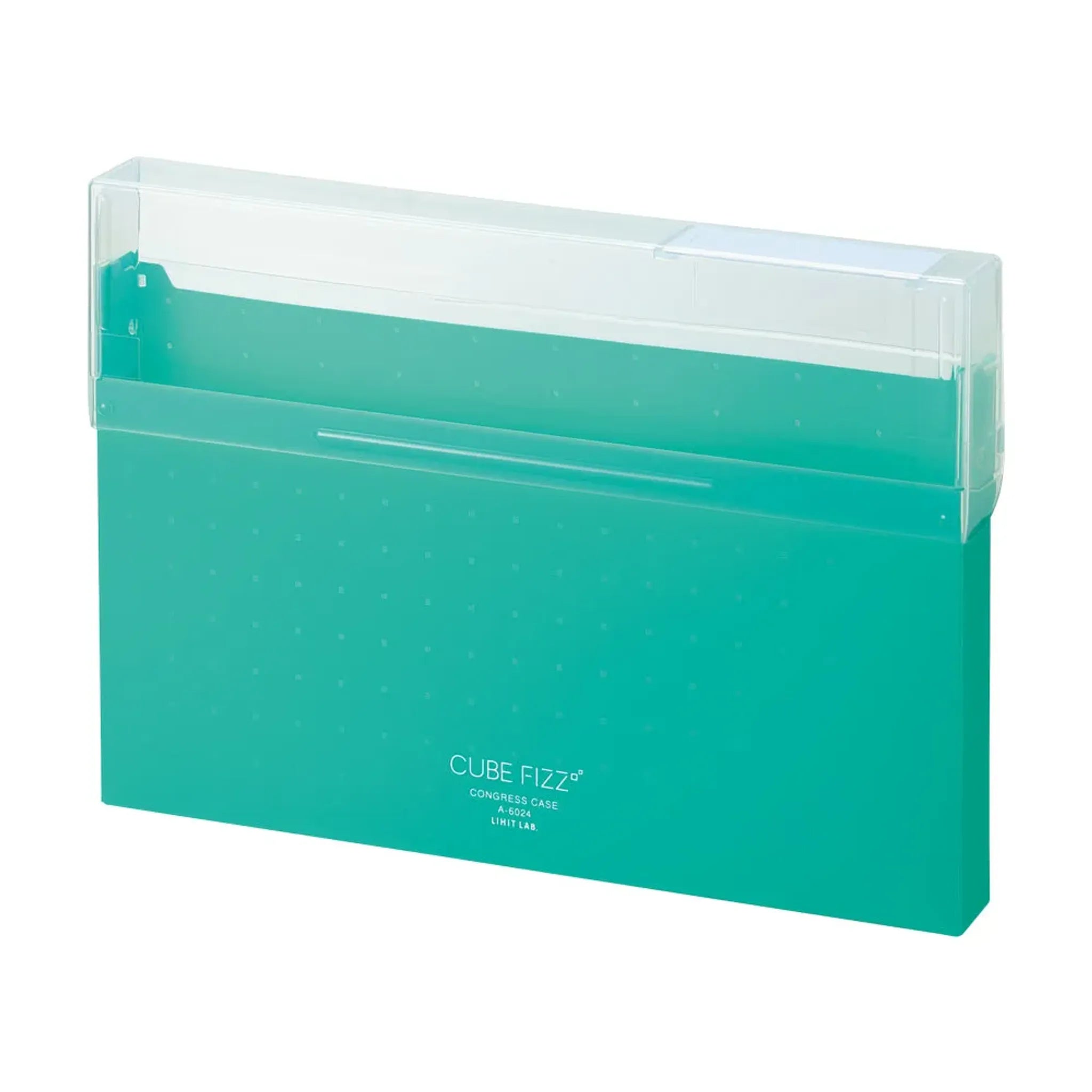 CUBE FIZZ コングレスケース(グリーン) A6024-7 画像01