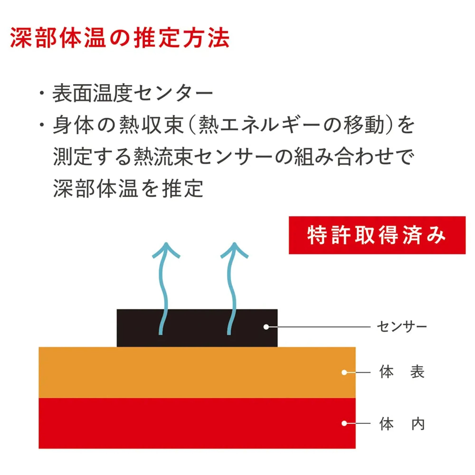【10本セット・ケース付】熱中対策ウォッチ　カナリアPlus　2026年モデル BDB2026set 画像08