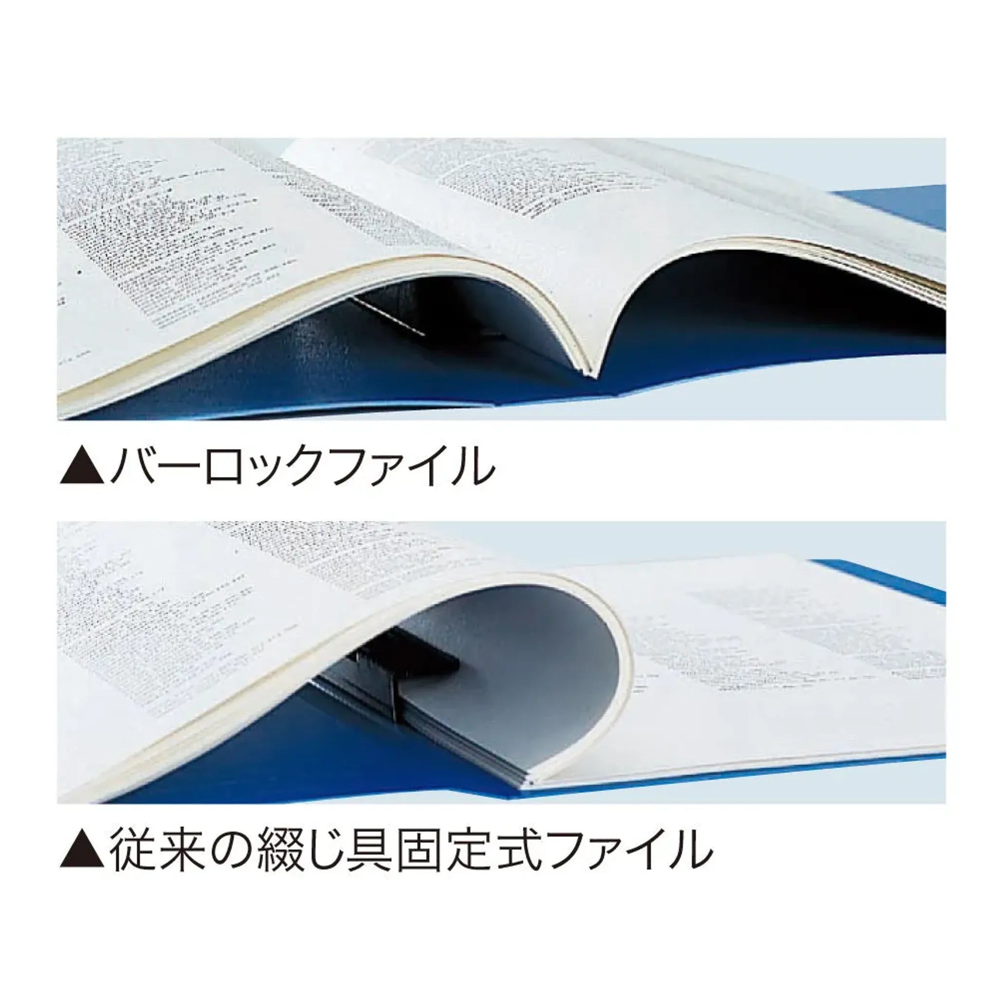 バーロックファイル(藍) F644ｱｲ 画像04