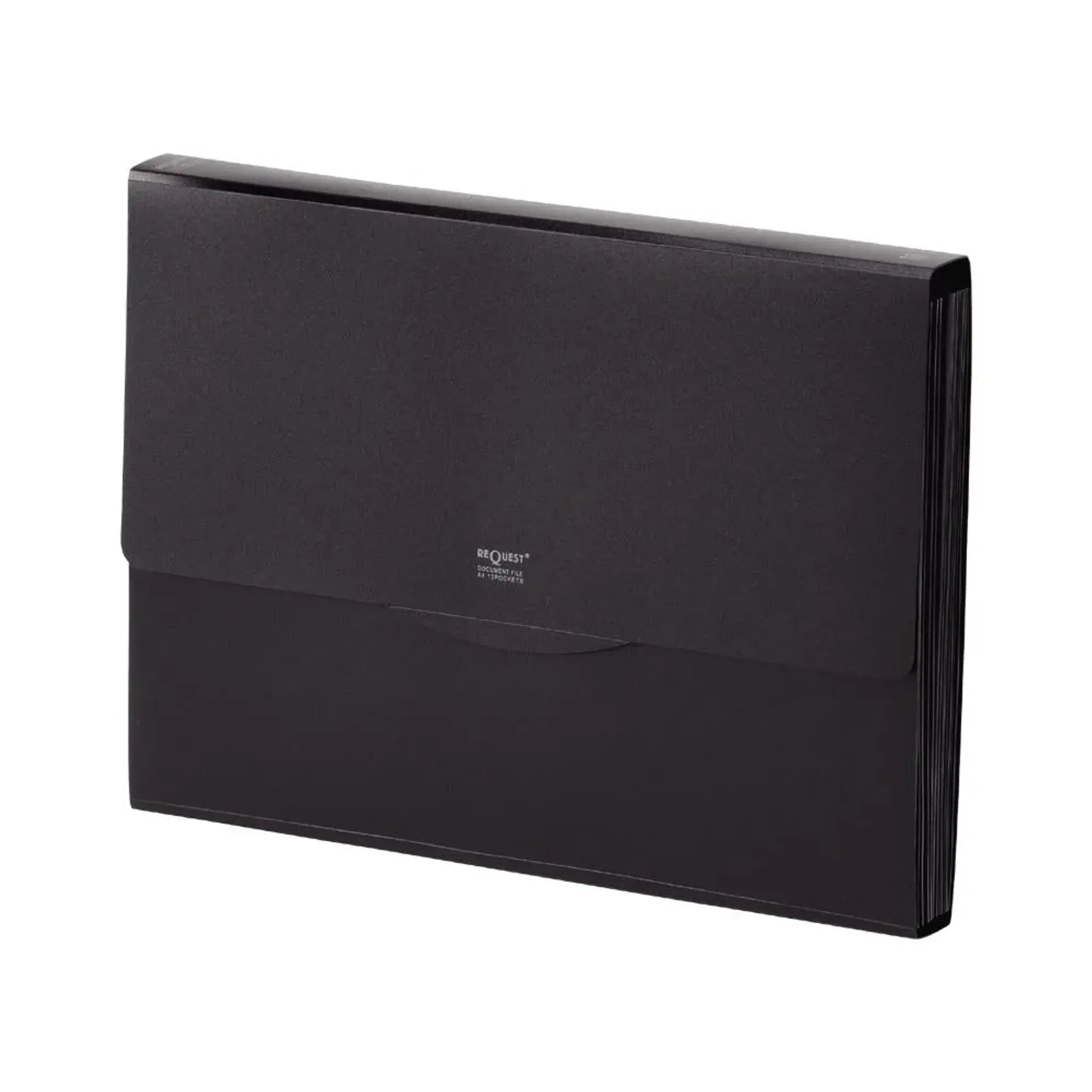 リクエスト　不透明ドキュメントファイル Ａ４(黒) G5800-24 画像01