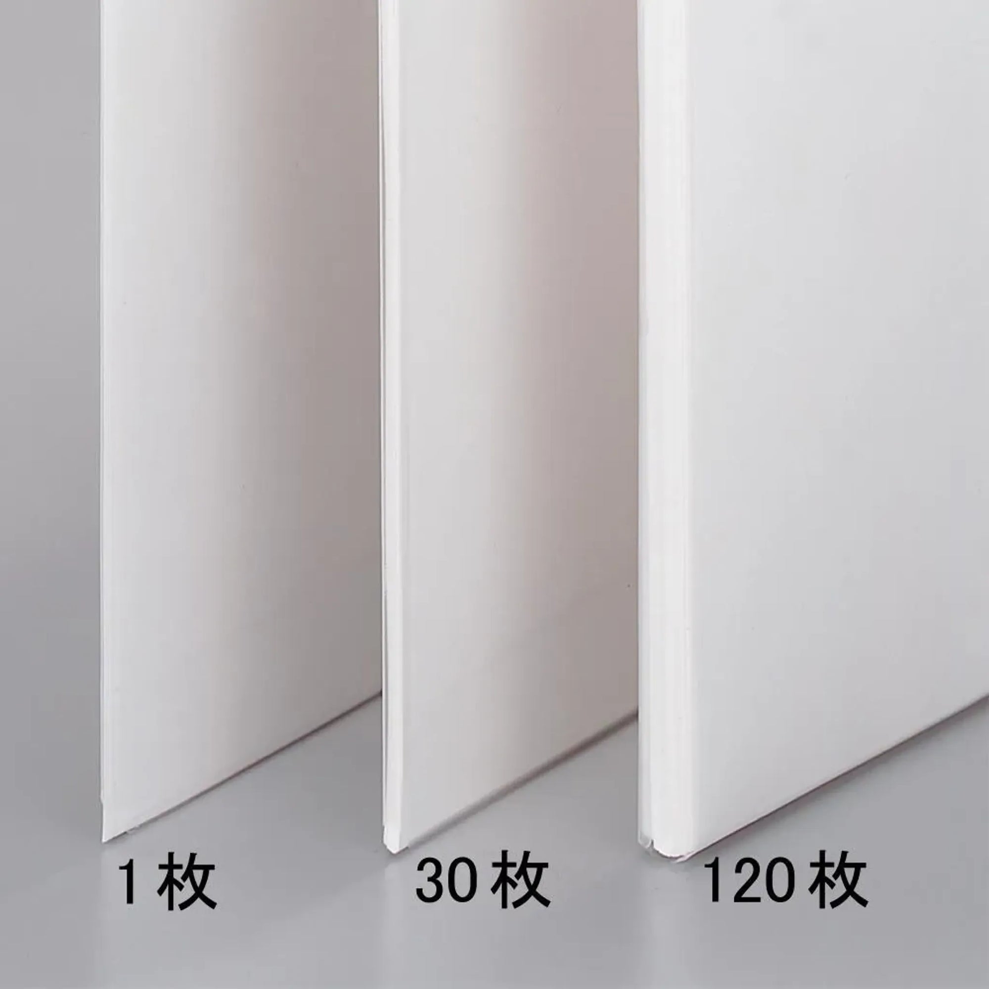 リクエスト　クリヤーホルダー＜厚とじ＞ Ａ４(乳白) G6210-1 画像04
