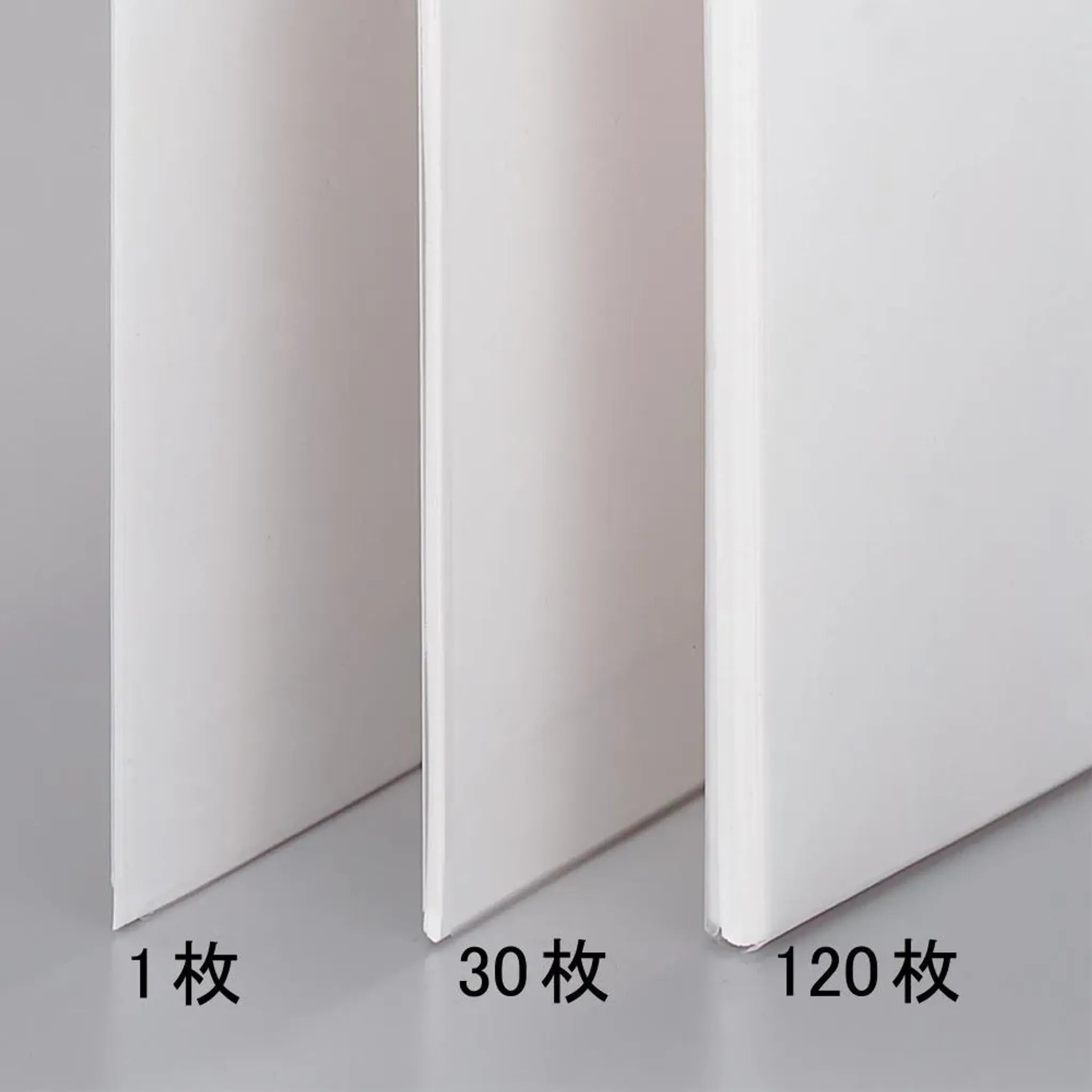 リクエスト　クリヤーホルダー＜厚とじ＞ Ａ４(乳白) G6210-1 画像04