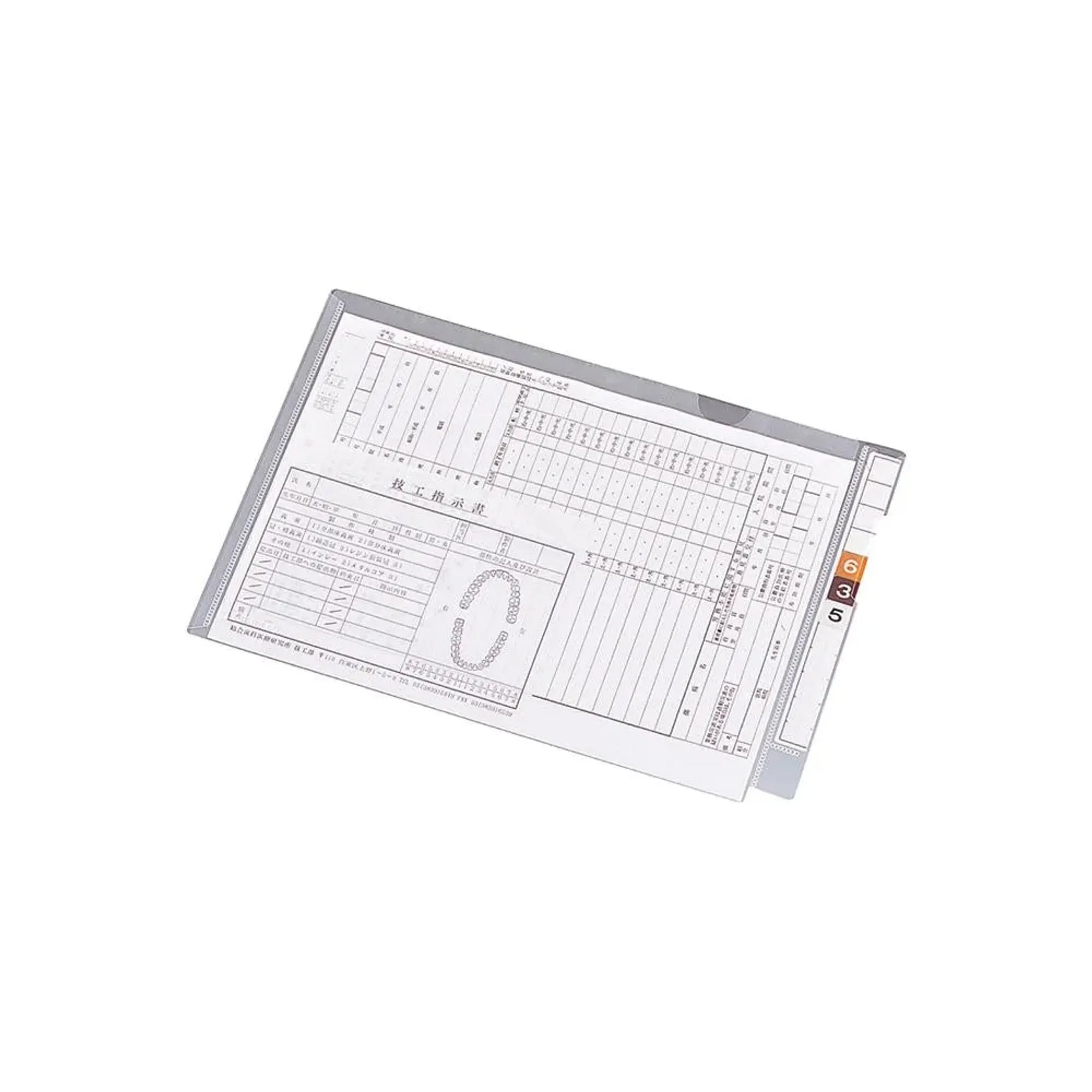 カルテフォルダー（フラップ付）シングル＜横型＞ Ｂ５ （100枚入り） HK2005 画像01