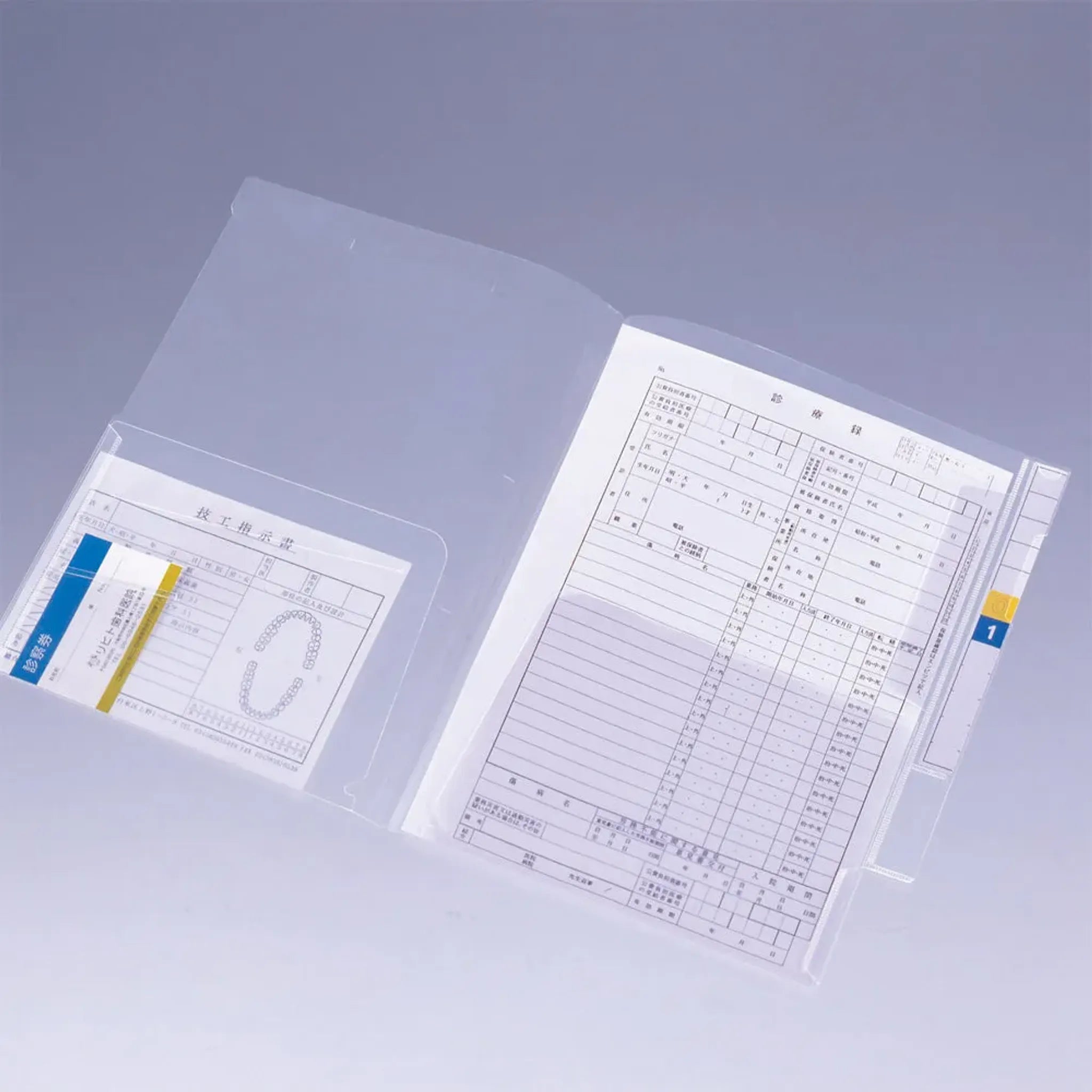 カルテフォルダー（フラップ付）ダブル＜縦型＞ Ａ４ （100枚入り） HK2006 画像01
