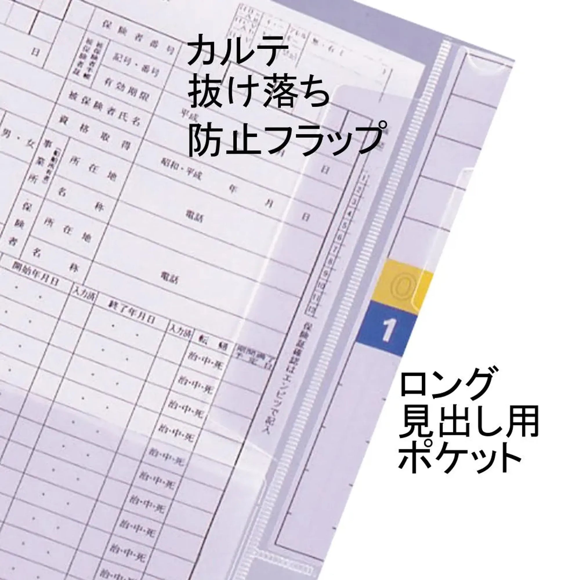 カルテフォルダー（フラップ付）ダブル＜縦型＞ Ａ４ （100枚入り） HK2006 画像04