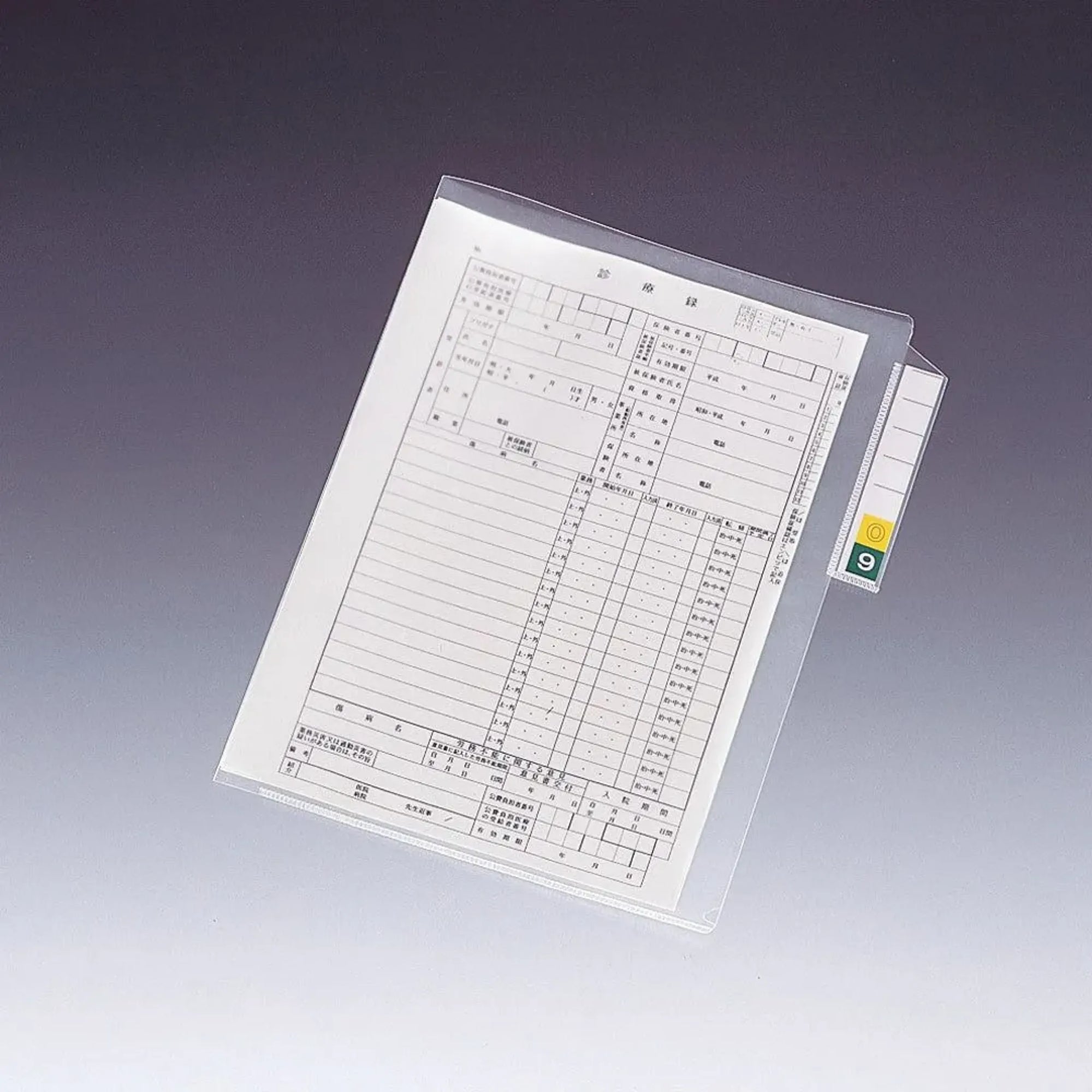 カルテフォルダー＜縦型＞　シングルポケット Ａ４ （200枚入り） HK7608-ﾐ 画像02