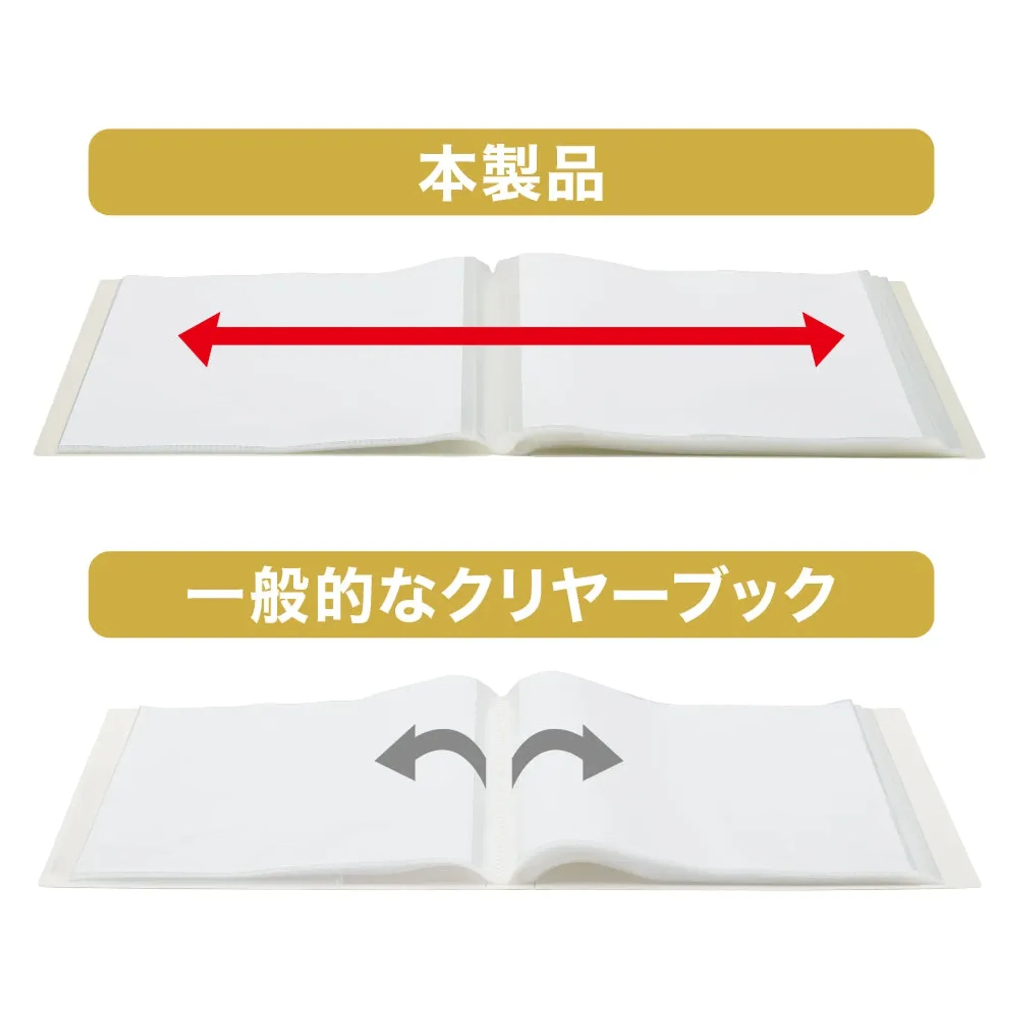 Ｍｕｔｕａｌ クリヤーブック 　40P(ディープグリーン) N2401-7 画像05