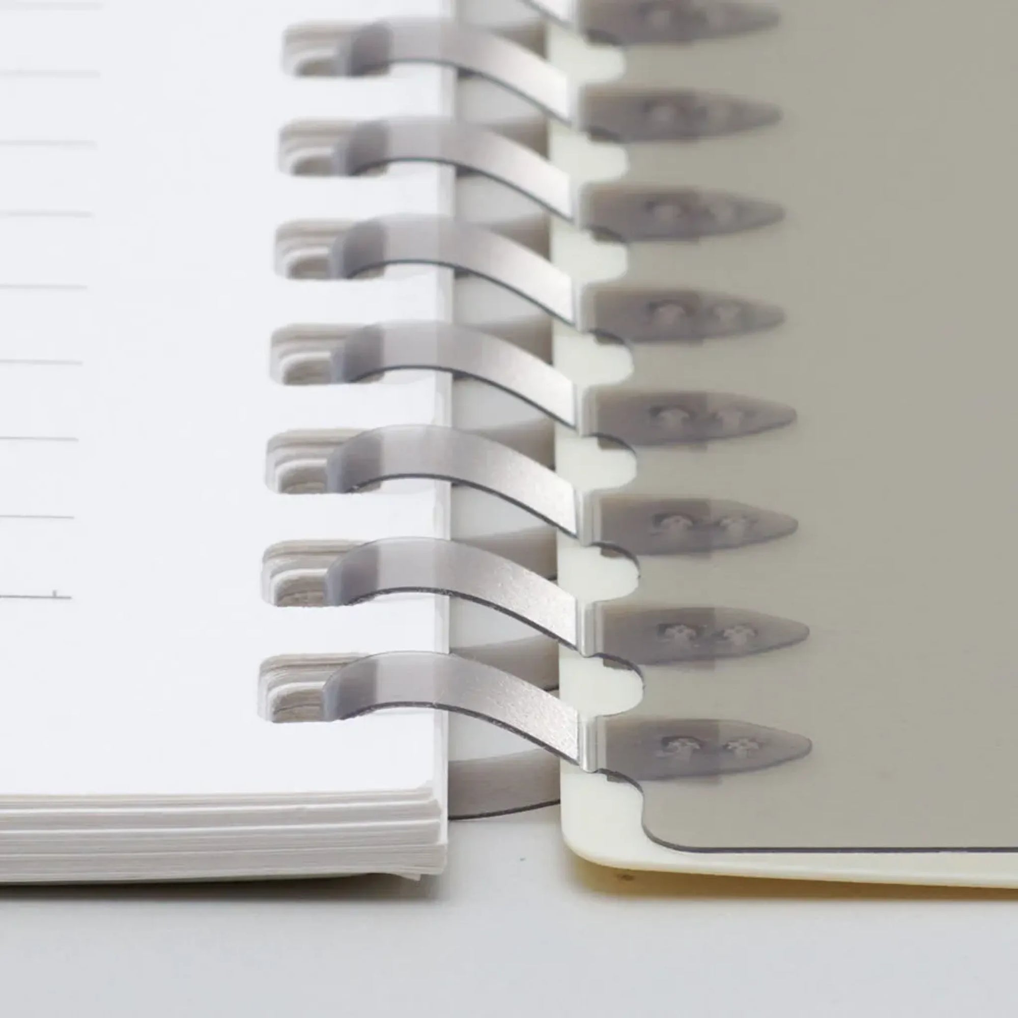 ソフィーチェノート　Ａ５　リーフ３０枚(オリーブ) N3203-22 画像07