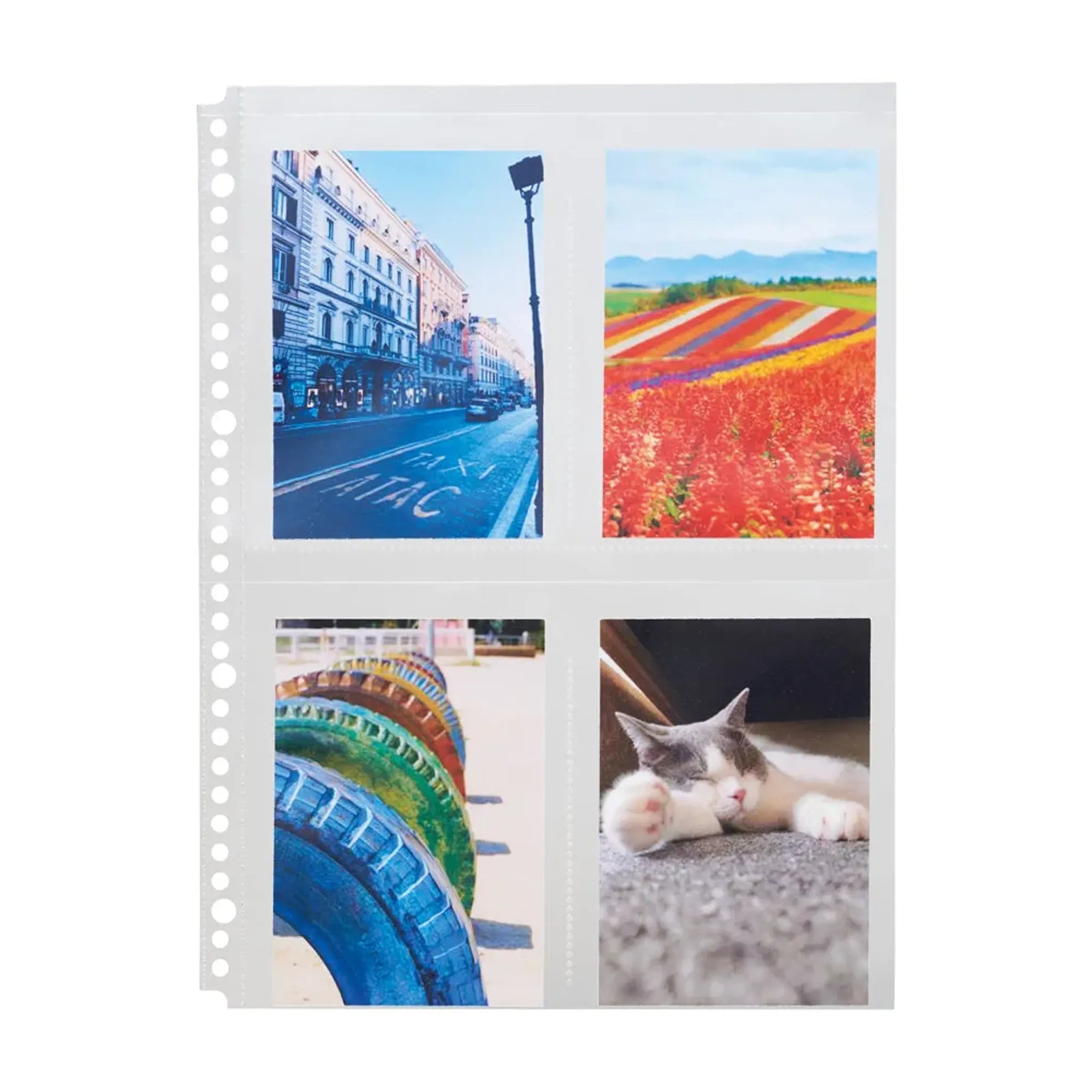 ｍｙｆａ　コレクションポケット ４ポケット　Ａ４(20組セット) N3304set20 画像04