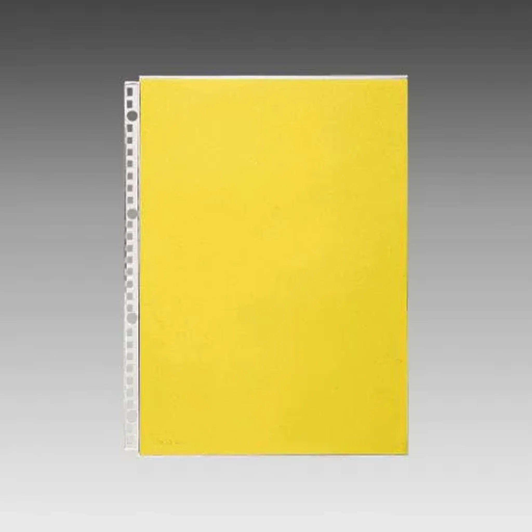クリヤーポケット N1489-10P 画像01
