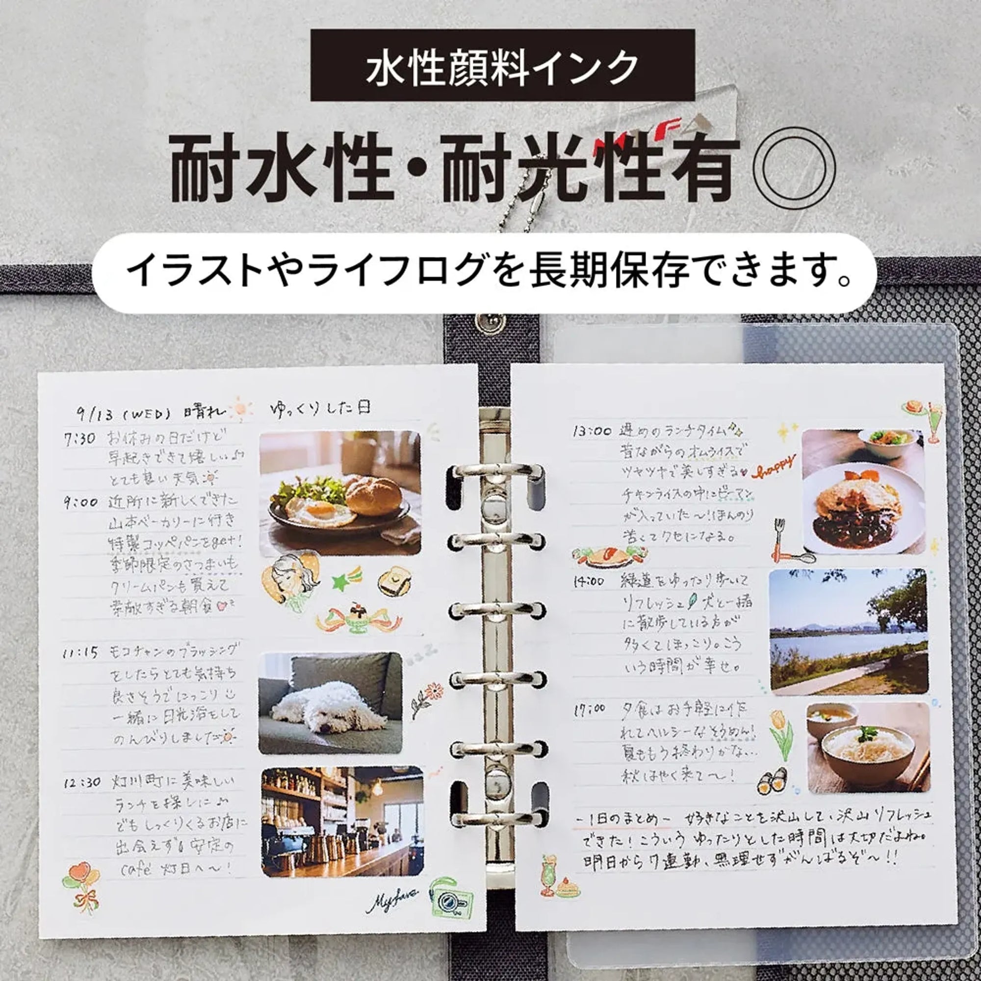 【10個セット】ｍｙｆａ　ログペン(モカブラウン) PN101-9 画像04